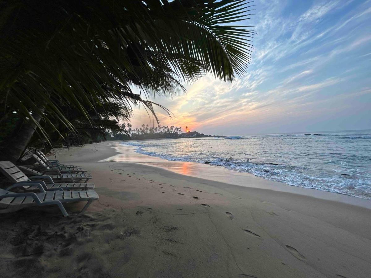 Coconut Palm Beach Restaurant And Rooms Діквелла Екстер'єр фото