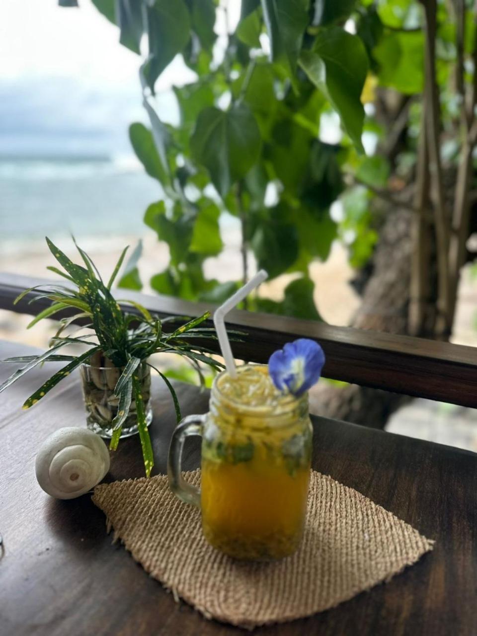 Coconut Palm Beach Restaurant And Rooms Діквелла Екстер'єр фото