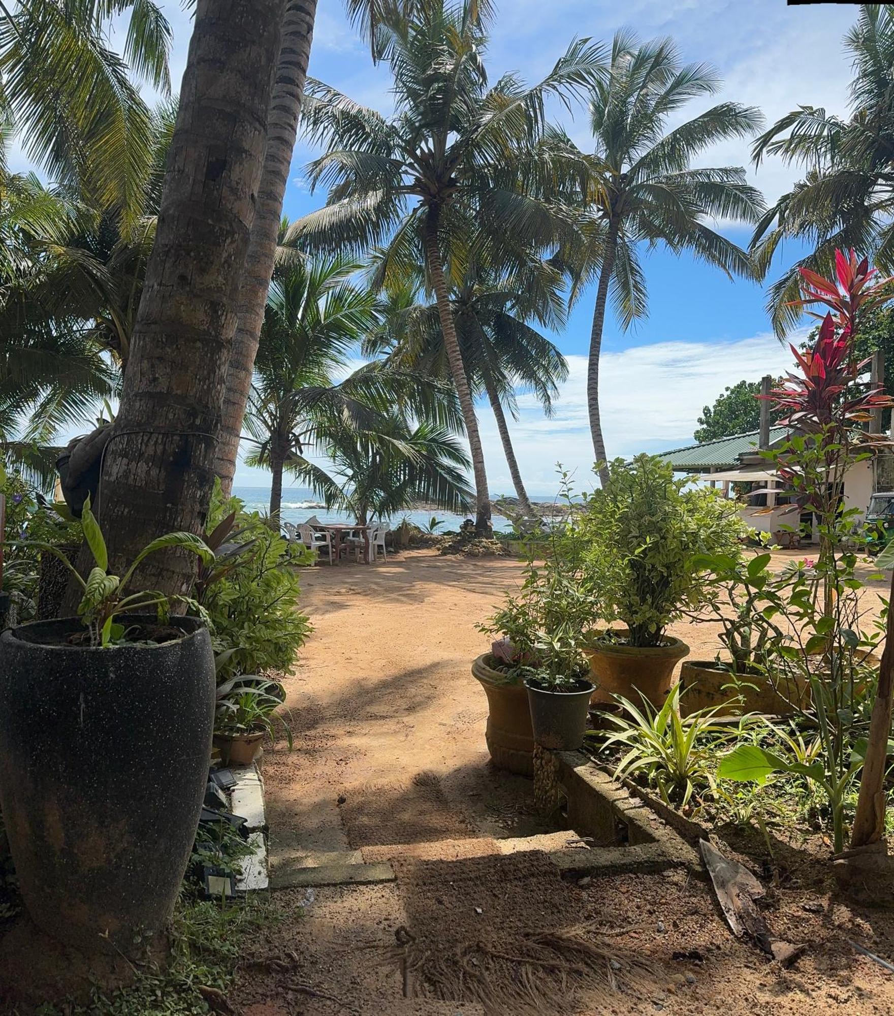 Coconut Palm Beach Restaurant And Rooms Діквелла Екстер'єр фото